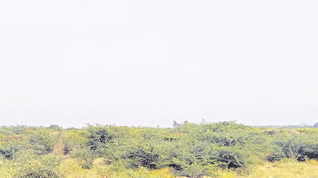 అద్దంకిలో రియల్‌ ధరలకు కదలిక