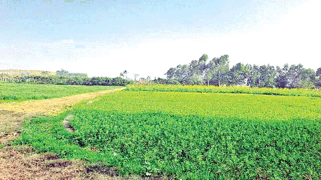 భూమార్పిడి కావట్లే!