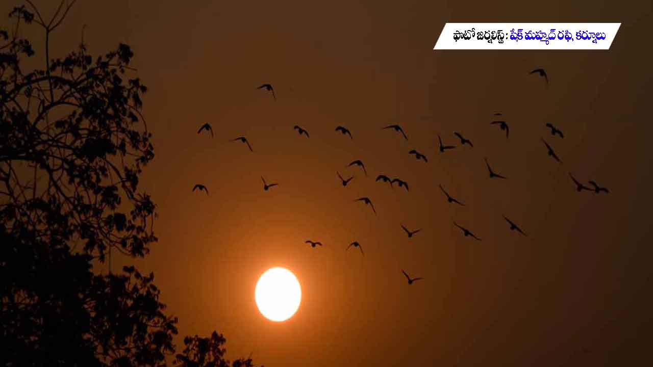 ప్రతీ మనసును తట్టిలోపే అద్భుత దృశ్యాలు..