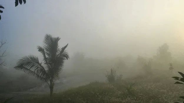 కౌండిన్యను వణికిస్తున్న చలిపులి