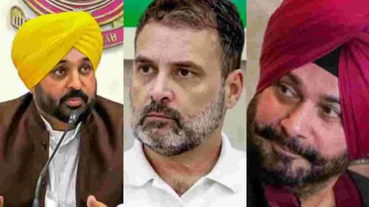Bhagwant Mann: పని చేయకుండా ప్రధాని కావాలంటే ఎలా.. రాహుల్‌ను ప్రశ్నించిన పంజాబ్ సీఎం