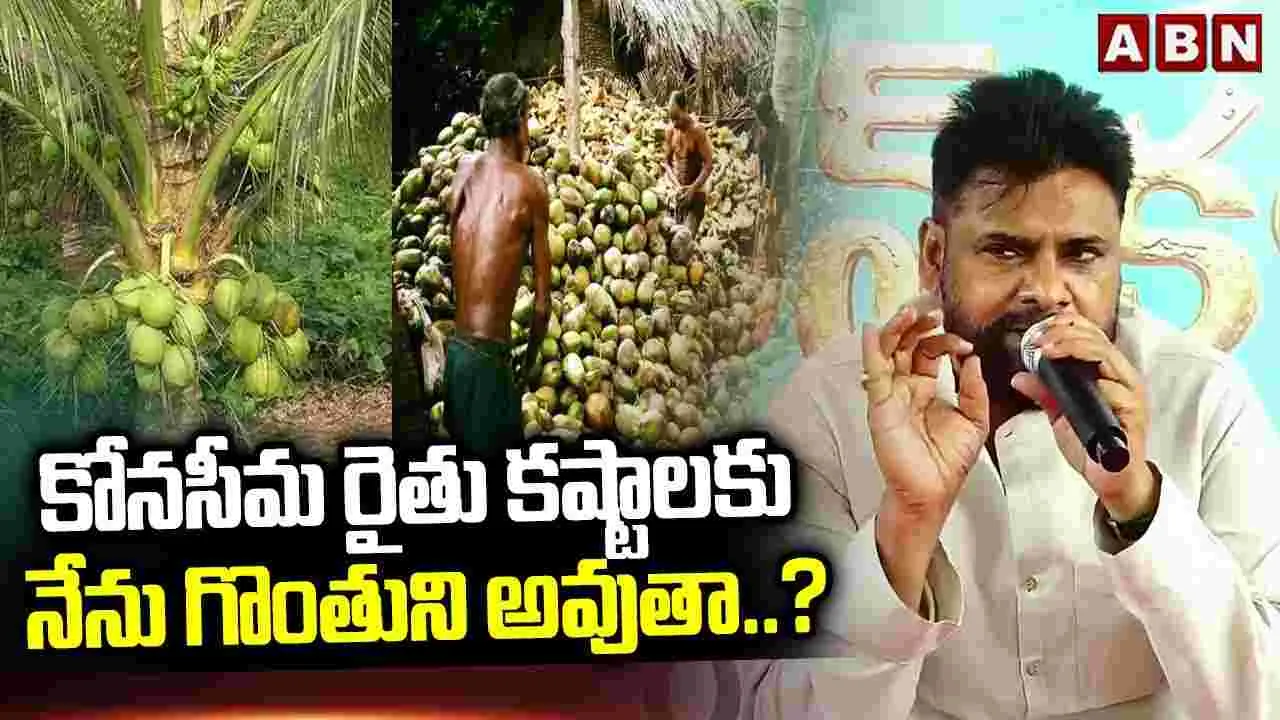 Pawan Kalyan: రైతుల సమస్యలు పరిష్కరిస్తాం.. పవన్ కల్యాణ్ భరోసా