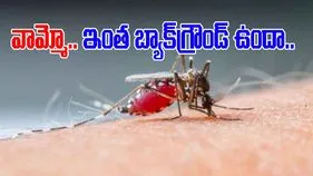 Mosquitoe History: మొదటి దోమ ఎప్పుడు పుట్టింది..  వీటి చరిత్ర గురించి తెలిస్తే షాకవ్వాల్సిందే..