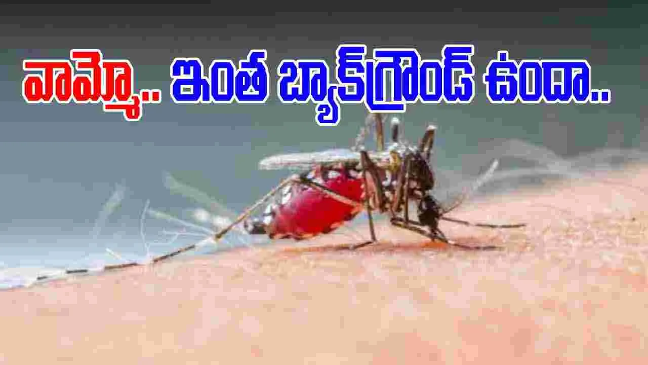 Mosquitoe History: మొదటి దోమ ఎప్పుడు పుట్టింది..  వీటి చరిత్ర గురించి తెలిస్తే షాకవ్వాల్సిందే..