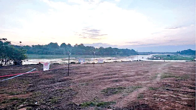   Polypadium పోలిపాడ్యమికి సిద్ధం