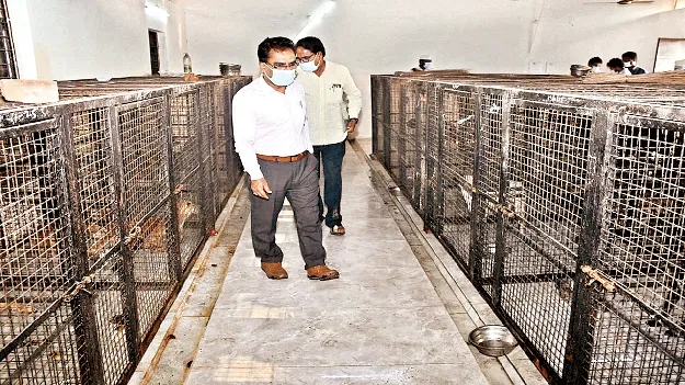 తడి, పొడి చెత్త వేరుచేయాలి