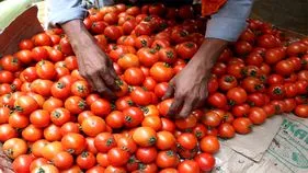 Tomato Price: మళ్లీ పెరిగింది.. టమోటా @ 46