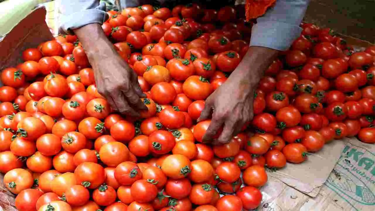 Tomato Price: మళ్లీ పెరిగింది.. టమోటా @ 46