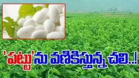 Ananthapuram News: ‘పట్టు’ను వణికిస్తున్న చలి..!