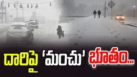 Ananthapuram News: దారిపై మంచు భూతం..