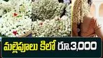 New Year: న్యూ ఇయర్‌ ఎఫెక్ట్‌ .. మల్లెపూలు కిలో రూ.3,000