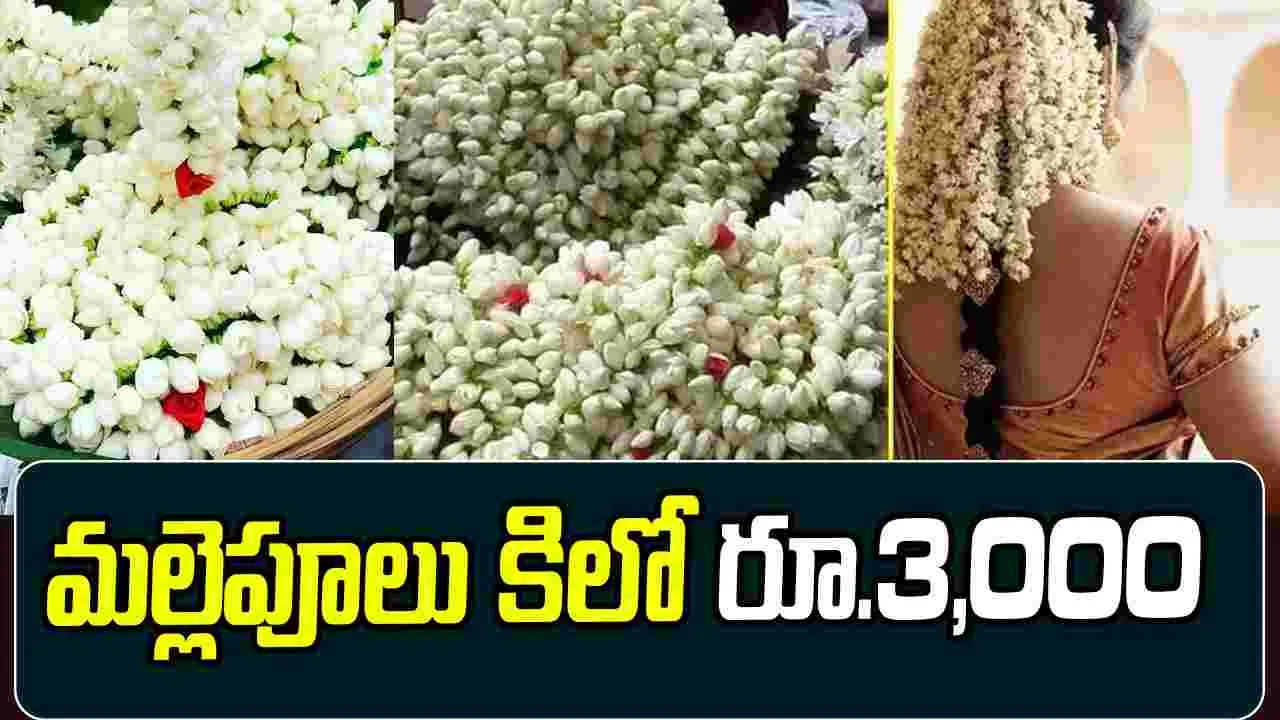 New Year: న్యూ ఇయర్‌ ఎఫెక్ట్‌ .. మల్లెపూలు కిలో రూ.3,000