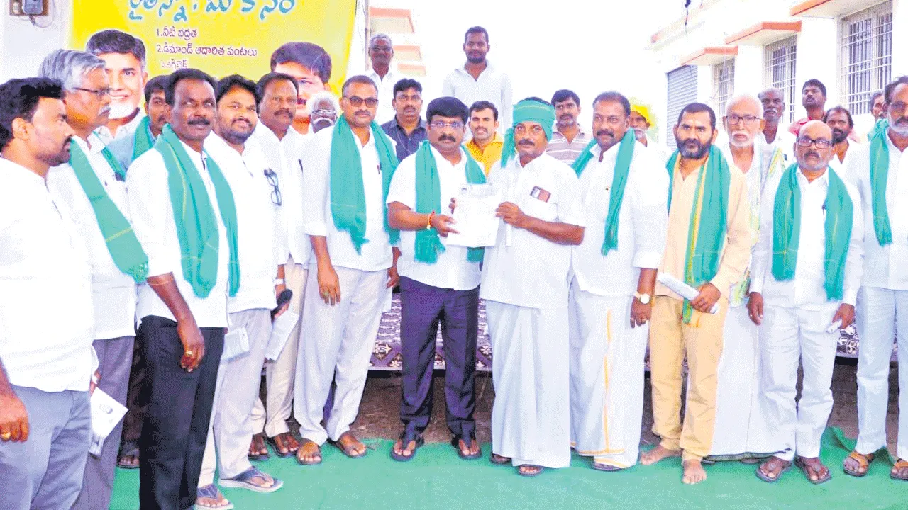 తూర్పున శనగ.. పశ్చిమాన సజ్జ, మొక్కజొన్న