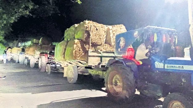 నోబిడ్‌ సంకటం