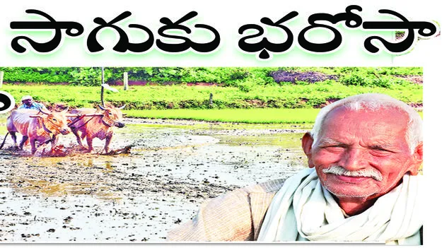 peddapally :  సాగుకు భరోసా..!