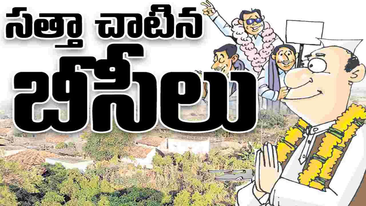   సత్తా చాటిన బీసీలు