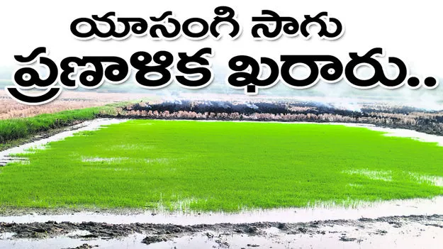 యాసంగి సాగు ప్రణాళిక ఖరారు..