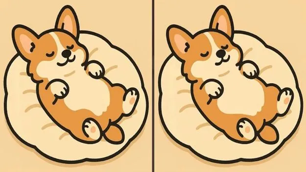 Picture Puzzle: మీ పరిశీలనా శక్తి సూపర్ అయితే.. ఈ ఫొటోల్లోని మూడు తేడాలను 60 సెకెన్లలో కనిపెట్టండి