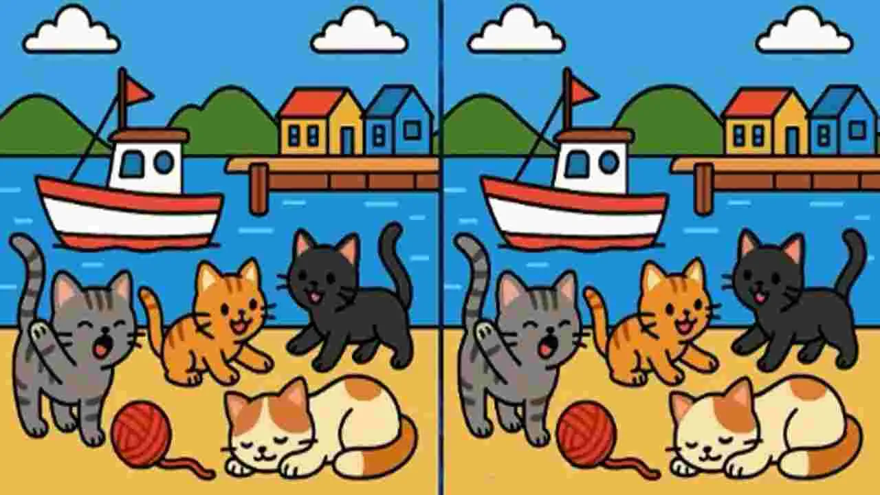 Picture Puzzle: మీ పరిశీలన గొప్పదైతే.. ఈ ఫొటోల్లోని మూడు తేడాలను 25 సెకెన్లలో కనిపెట్టండి