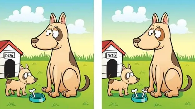 Picture Puzzle: మీ ట్యాలెంట్‌కు టెస్ట్.. ఈ ఫొటోల్లోని ఐదు తేడాలను 45 సెకెన్లలో కనిపెట్టండి