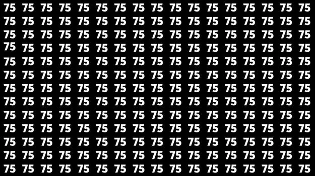 Optical Illusion Test: మీ కళ్లకు పరీక్ష.. 75ల మధ్యనున్న 73ను 7 సెకెన్లలో కనిపెట్టండి..
