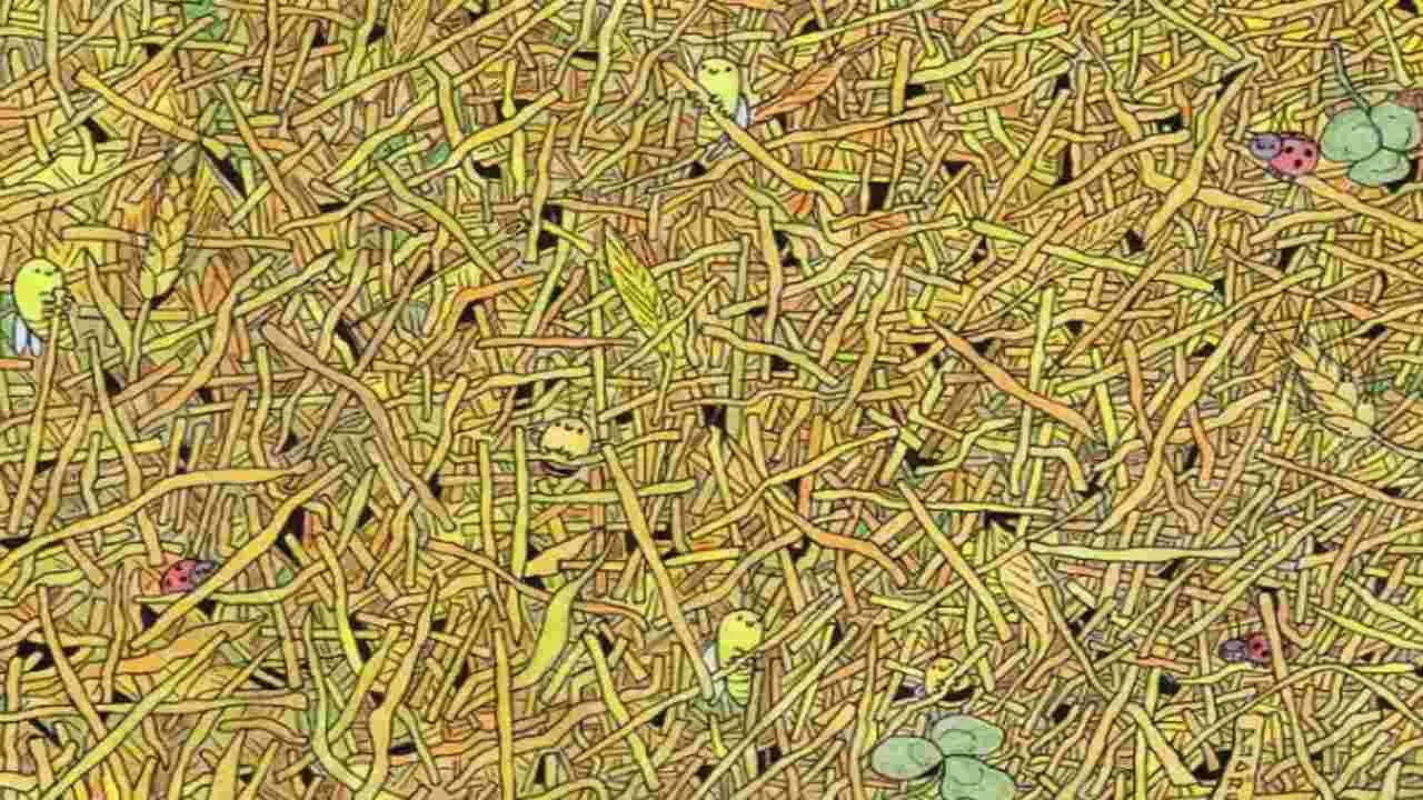 Optical Illusion Test: మీ దృష్టి షార్ప్ అయితే.. ఈ ఫొటోలో సూది ఎక్కడుందో 28 సెకెన్లలో కనిపెట్టండి..