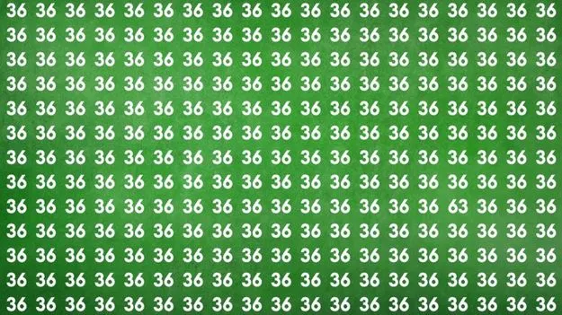 Optical Illusion Test: మీ కళ్లు షార్ప్ అయితే.. ఈ 36ల మధ్యలో 63 ఎక్కడుందో 7 సెకెన్లలో కనిపెట్టండి..