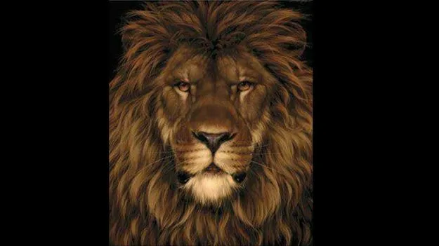 Optical Illusion Test: మీ ఐక్యూకు ఛాలెంజ్.. ఈ ఫొటోలో సింహంతో పాటు ఎలుక కూడా ఉంది.. కనిపెట్టండి..