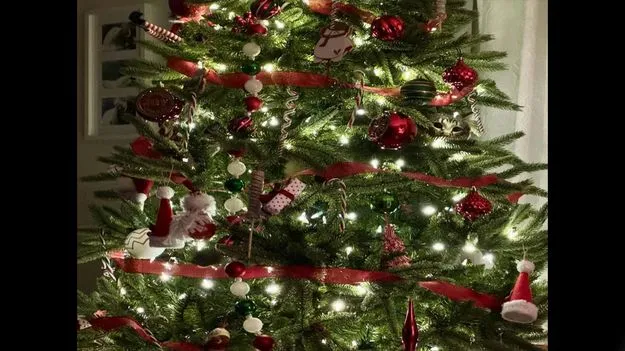 Optical Illusion Test: మీ కళ్ల పవర్‌కు టెస్ట్.. క్రిస్‌మస్ ట్రీలో దాక్కున్న పిల్లిని 5 సెకెన్లలో కనిపెట్టండి..