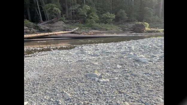 Optical Illusion Test: మీ కళ్ల పవర్‌కు టెస్ట్.. ఈ నది ఒడ్డున కుక్క ఎక్కడుందో 15 సెకెన్లలో కనిపెట్టండి..