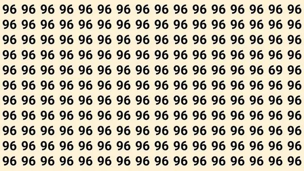 Optical Illusion Test: మీ కళ్ల పవర్‌కు టెస్ట్.. 96ల మధ్యనున్న 69ని 5 సెకెన్లలో కనిపెట్టండి..