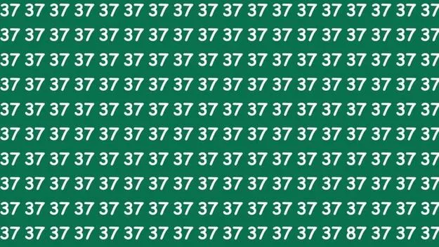 Optical Illusion Test: మీ కళ్లు షార్ప్ అయితే.. ఈ 37ల మధ్యలో 87 ఎక్కడుందో 7 సెకెన్లలో కనిపెట్టండి..