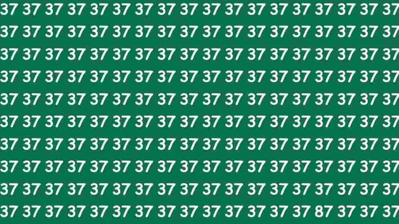 Optical Illusion Test: మీ కళ్లు షార్ప్ అయితే.. ఈ 37ల మధ్యలో 87 ఎక్కడుందో 7 సెకెన్లలో కనిపెట్టండి..