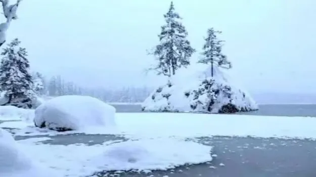 Optical Illusion Test: మీ కళ్లు పవర్‌ఫుల్ అయితే.. ఈ మంచులో ఎలుగుబంటి ఎక్కడుందో 20 సెకెన్లలో కనిపెట్టండి..