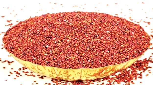 Chaos in Ration Depots రేషన్‌ డిపోల్లో రాగులు