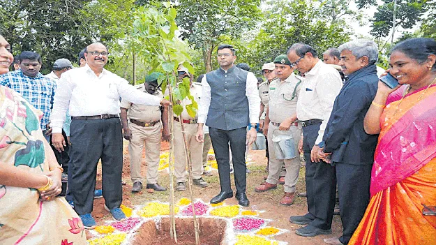 మొక్కలు నాటి పర్యావరణాన్ని కాపాడుకుందాం : జేసీ