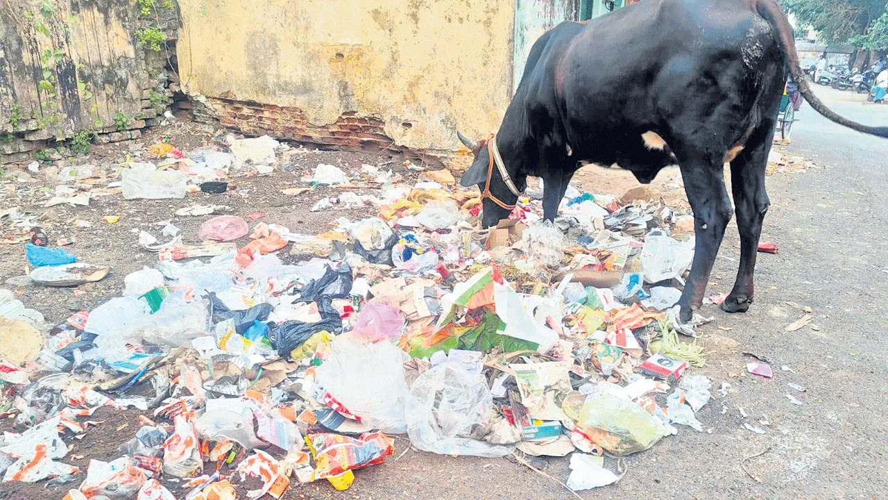 పారిశుధ్యంలో అవినీతి కంపు