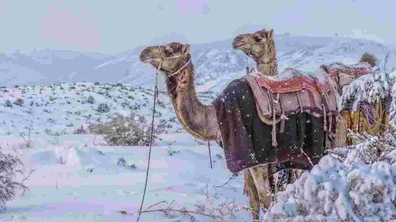 Saudi Arabia snowfall: సౌదీ అరేబియాలో మంచు వర్షం.. ఆ అందాన్ని ఆస్వాదించాలనుకుంటున్నారా..