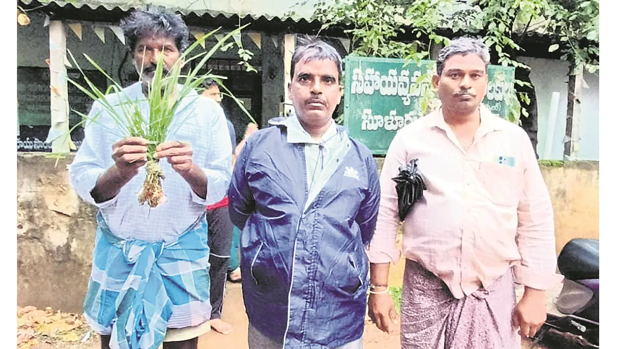 నిండా ముంచేశారు