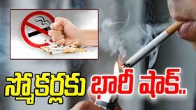 Tobacco Products: పొగాకు ఉత్పత్తులపై కొత్త GST.. ఫిబ్రవరి 1 నుంచి వర్తింపు..
