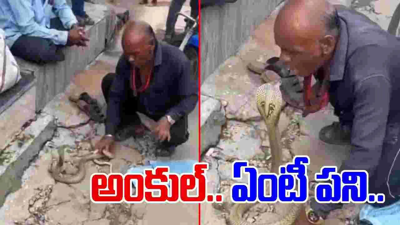 Snake Viral Video: పాముతో డేంజరస్ స్టంట్స్.. తలను నోట్లో పెట్టుకుని మరీ.. 