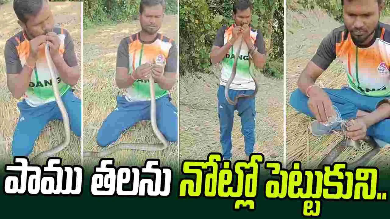 CPR Revives Electrocuted Snake: నువ్వు దేవుడివి సామీ.. కరెంట్ షాక్ కొట్టిన పాముకు నోటితో.. 