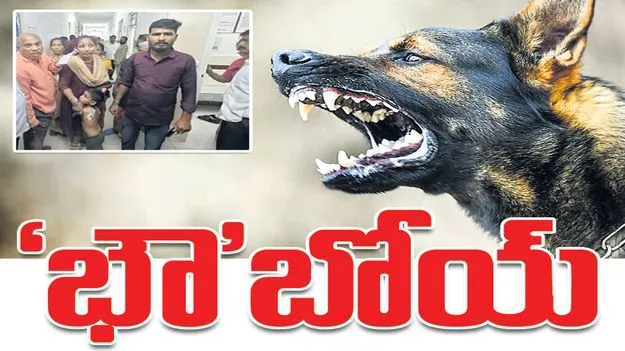దడ పుట్టిస్తున్న శునకాలు.. 