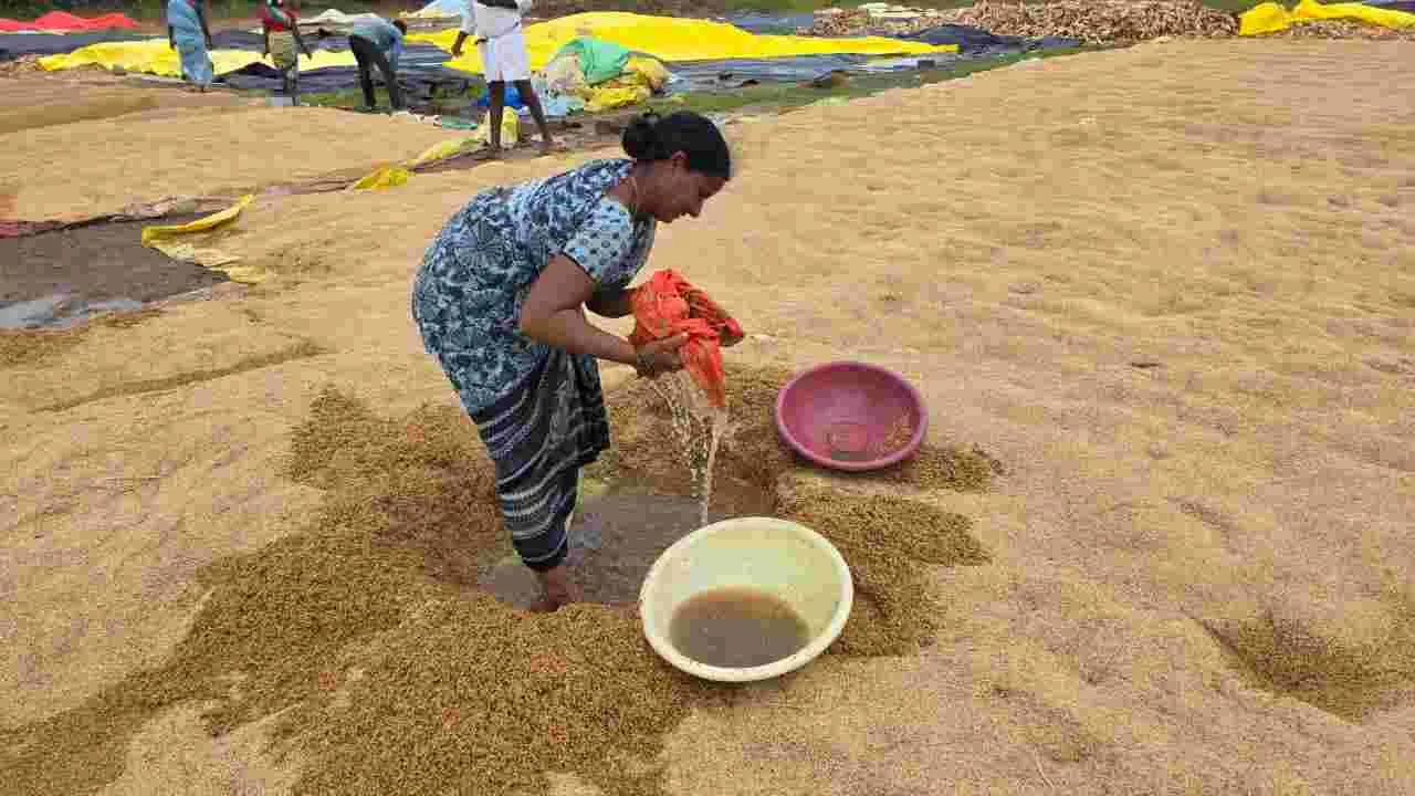 Raajanna siricilla :  కలిసిరాని కాలం