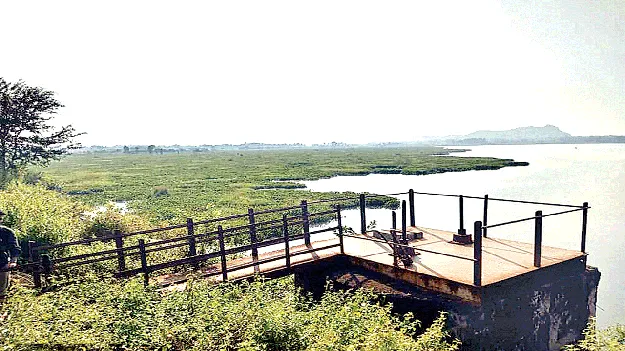  Boat Safari? బోటు షికారు ఎప్పుడు?