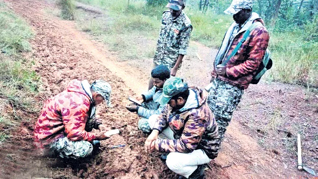 పులులెన్ని?