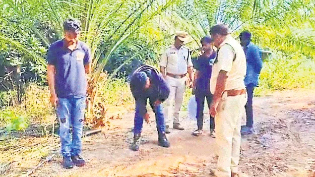 భీమోలులో పులి జాడ..