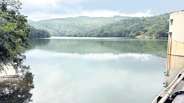 Tirumala: జలకళలాడుతున్న తిరుమల డ్యామ్‌లు