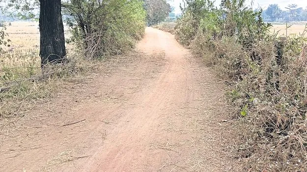హామీలకే పరిమితమైన బీటీ రోడ్డు