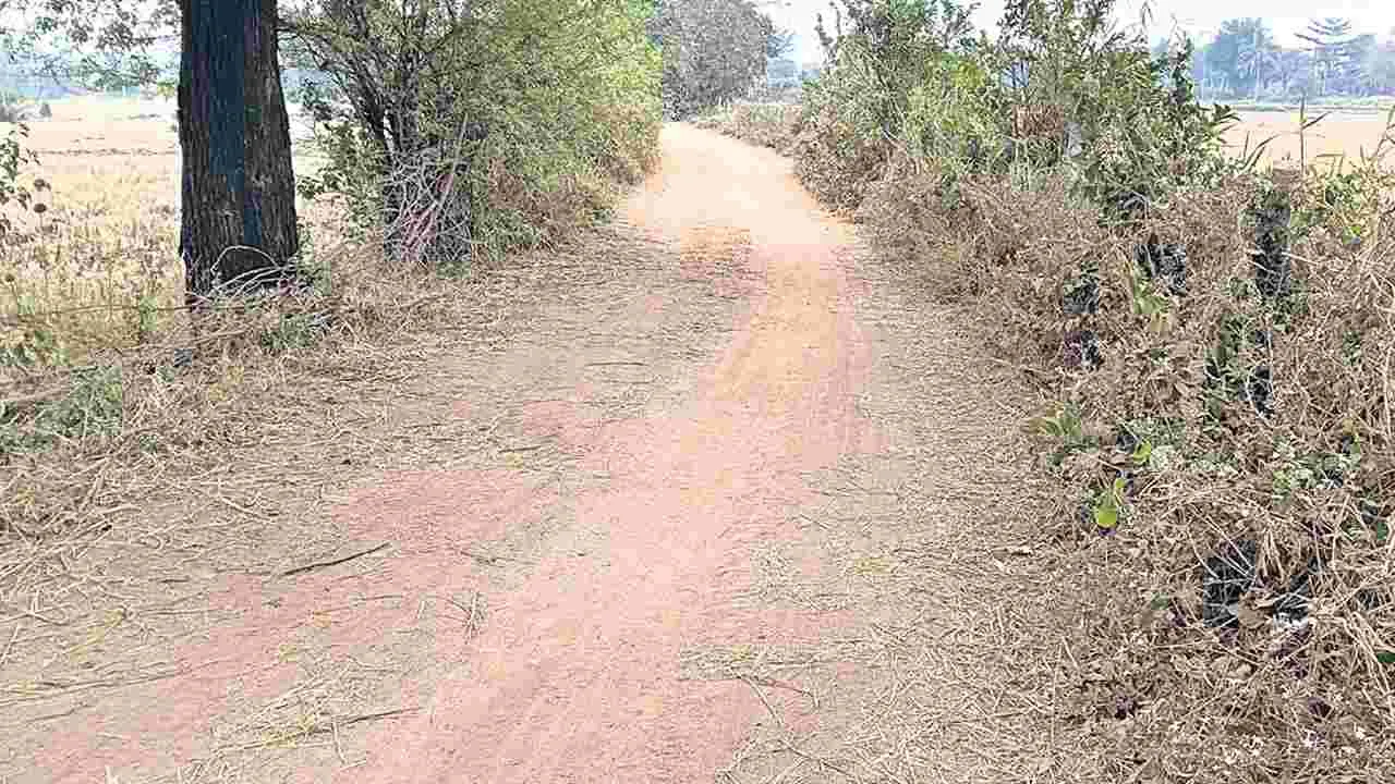 హామీలకే పరిమితమైన బీటీ రోడ్డు